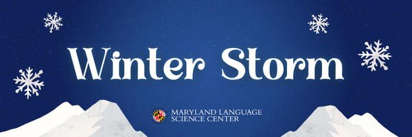 LSC Winter Storm Header