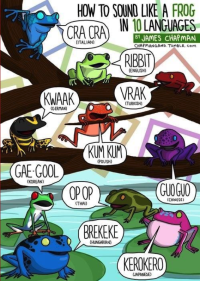 A graphic describes frog sounds in different languages